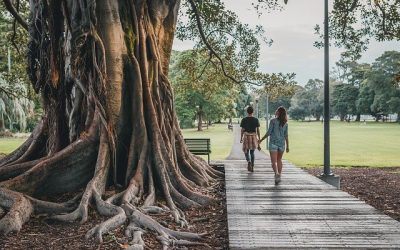 Take a Serendipity Walk with your Team