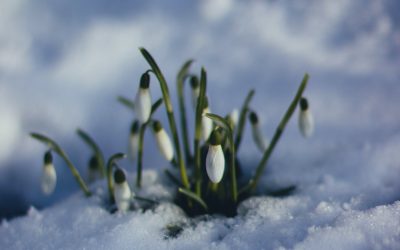 Seasons of Change