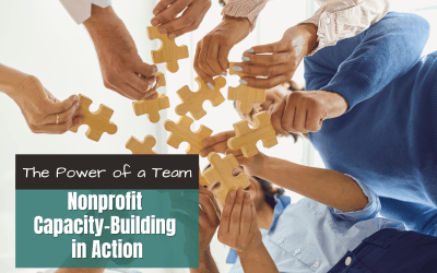 The Power of a Team: Nonprofit Capacity-Building in Action