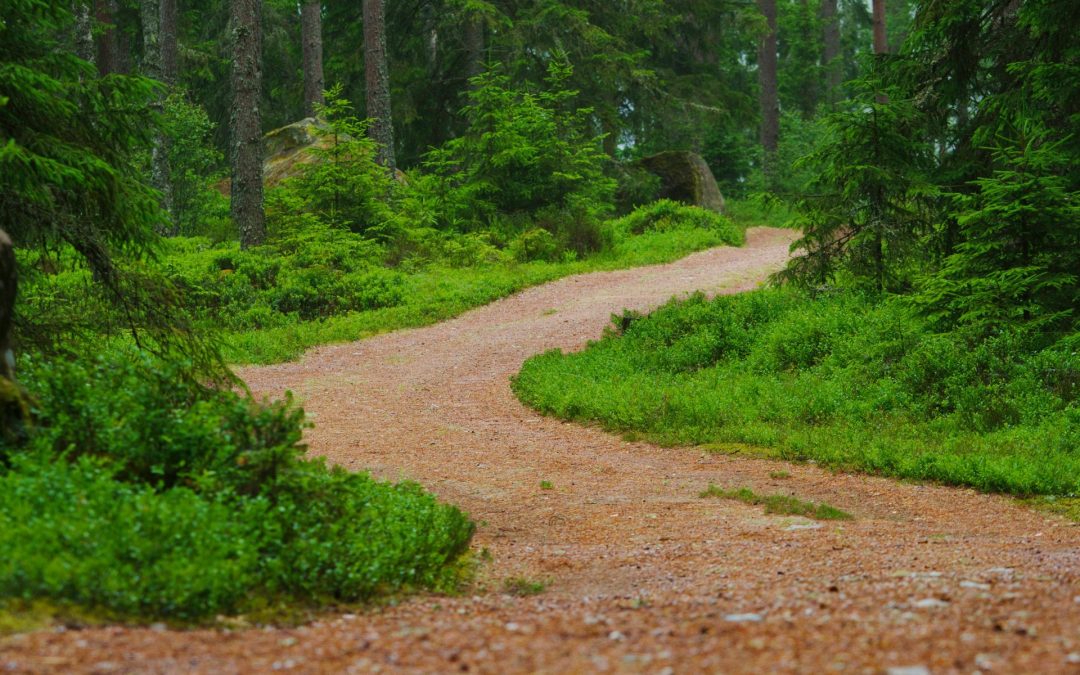 The Most Important Part of a Retreat Isn’t the Retreat